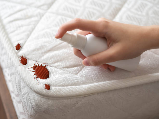 Best Indoor Pest Control  in Birch Run, MI